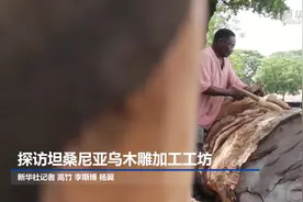 探访坦桑尼亚乌木雕加工工坊视频封面