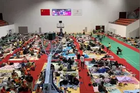 红绿灯吹断，车辆摇晃，3千多树木倒伏……两面临海，临港新片区怎样抗台风图片