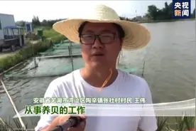 走进乡村看小康丨这些贝类不是用来吃的？宝“贝”：我是村里的清道夫图片