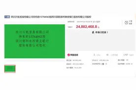 股东被强制执行 四川一股份制银行三笔股权拍出 成交价1.05亿元图片