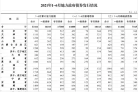 31省市上半年政府发债排行榜：山东以2599亿元居首图片