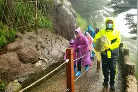 遭遇大雨大风！黄山风景区全力以赴守松护人图片