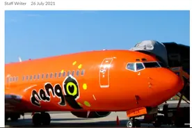 南非国有航空公司“芒果航空”宣布进入商业救援模式图片