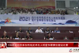 536名运动员参加传统武术名人明星争霸赛仪陇站比赛图片