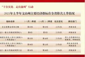 科普文山丨海中顶级“拳击手”——螳螂虾图片