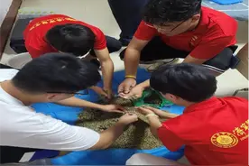 济宁医学院：一碗药汤一根针，一心一意惠万民图片