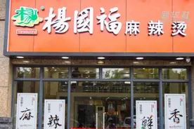 【中国财富报道】杨国福麻辣烫后厨被曝光：老鼠咬过的食材继续用，厨房抹布既洗菜又洗鞋视频封面