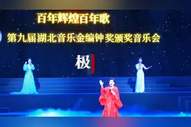 第九届湖北音乐金编钟奖颁奖音乐会在汉举行图片