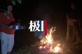 野猪泛滥，“人猪大战”不断上演图片