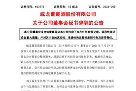 ST威龙董事会秘书刘玉磊因个人原因辞职图片