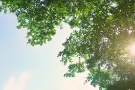 启航逐梦，英姿前行，启英幼儿园举行建园20周年庆典图片