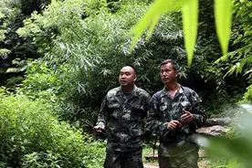 哀牢山的追“风”人——记新平哀牢山自然保护区西黑冠长臂猿监测员图片