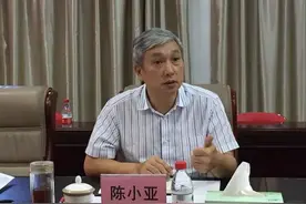 三亚市委原常委、政法委原书记陈小亚，被捕图片