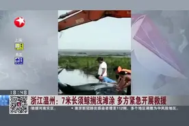浙江温州：7米长须鲸搁浅滩涂  多方紧急开展救援视频封面