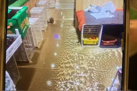 东方华庭门前道路逢雨必淹 业主急盼解决图片