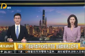 浦东：打造城市数字化转型示范区 金融数据港正式开港视频封面