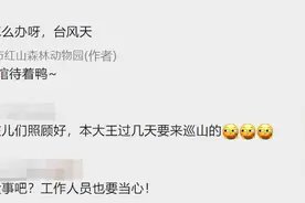 台风天，红山动物园的毛孩子们都在干嘛？网友：待吾巡山图片