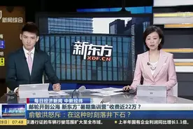 邮轮开到公海  新东方“暑期集训营”收费近22万？  俞敏洪怒斥：在这种时刻落井下石？视频封面