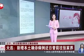 辽宁：昨日新增2例本土确诊病例——其中1例在大连  1例在沈阳视频封面