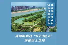 让森林走进咸阳 让咸阳拥抱森林图片