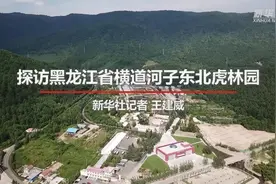 探访黑龙江省横道河子东北虎林园视频封面