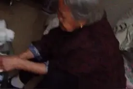 燕子｜娘的顶针儿图片
