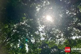 我们的节日·口述民俗｜成了“网红”的手搓冰粉，是老成都夏天的传统味道图片