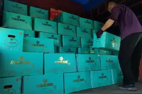 贺兰县立岗镇7000亩麒麟西瓜，喜获丰收图片