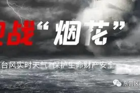 一组海报，告诉你台风即将来袭，我们该如何应对图片