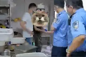 缘妙不可言，民警抓捕前点的外卖竟出自嫌疑人之手图片