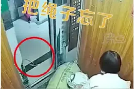 危险！电梯下降后，手推车被瞬间拽起！监控画面公开图片