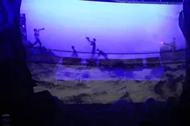 百部“红色主题皮影戏”展播图片