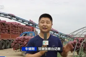 洋葱量价齐涨！国际市场需求增加，洋葱出口订单大增图片