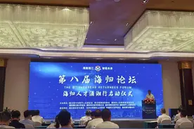 望城：148.7亿元重磅打造海归小镇招贤纳才图片