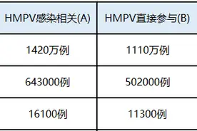 不跑“偏”的人类偏肺病毒图片