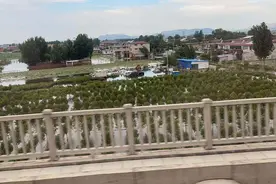 21现场｜直击郑州，40万水淹车等待处理图片