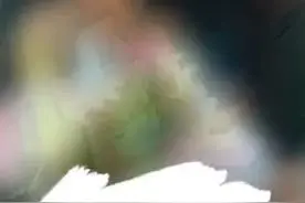 余姚刷爆朋友圈的“最美背影”找到了！她曾在台风天扛了4小时沙袋图片