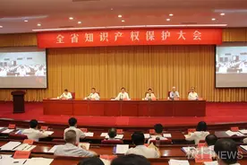 湖北首次召开全省知识产权保护大会，首颁湖北专利奖图片