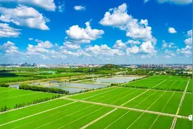 即将开工！松江这5条公路要提档升级啦图片
