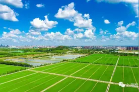 即将开工！松江这5条公路要提档升级啦图片