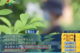 佛山三孩妈妈花万元相亲，突然后悔！指责婚介不靠谱：我都未办离婚也可以？图片