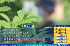 佛山三孩妈妈花万元相亲，突然后悔！指责婚介不靠谱：我都未办离婚也可以？图片