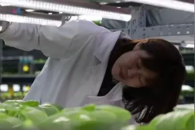 现代农业的敢为者魏灵玲：打造最美的农业花园视频封面