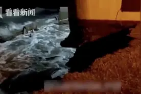 海平面上升侵蚀地基 别墅“轰”一声掉入海中图片
