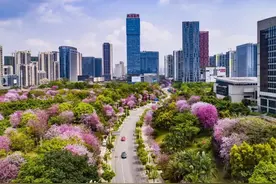 柳州市获批成为全国首批产教融合试点城市图片