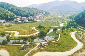 网红村的“不为”与“有为”——湘潭市岳塘区昭山镇七星村见闻图片