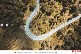 高端纯电品牌沙龙创始负责人离职，长城汽车新能源高端化受阻图片