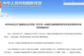 “双减”新政落地 K12学科培训机构的转型之路图片