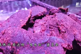 来银川，看这场“肉肉的”博览会视频封面