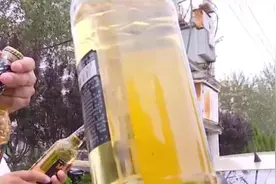 德州男子在玛咖啤酒里喝出“絮状物”厂家：杂质是沉淀物，属正常现象图片
